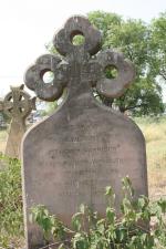 click to view detail