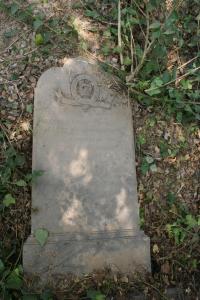 click to view detail