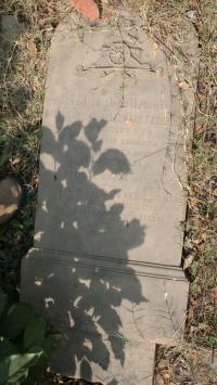 click to view detail