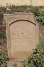 click to view detail