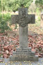 click to view detail