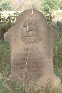 click to view detail