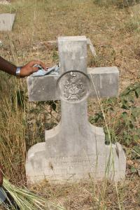 click to view detail