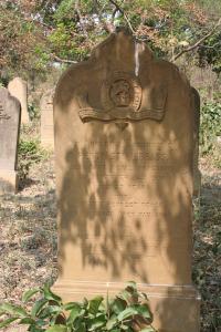 click to view detail