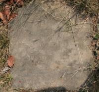 click to view detail