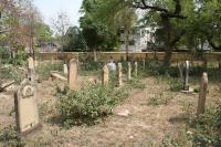 click to view detail