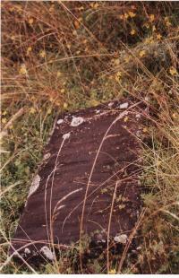 Gravestone of Elizabeth Maria Grossley