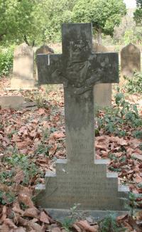 click to view detail