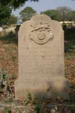 click to view detail