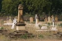 Photograph of The Garrison Cemetery, Lucknow