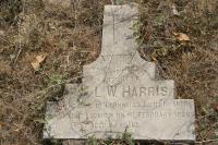 click to view detail