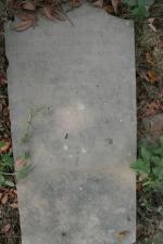 click to view detail