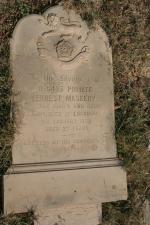 click to view detail