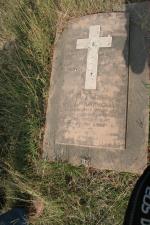 click to view detail