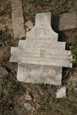 click to view detail