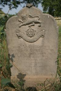 click to view detail