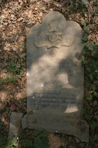 click to view detail