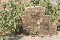 click to view detail