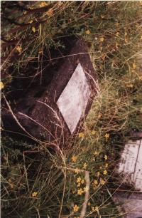 Gravestone of  Herbert Cecil Wilkins