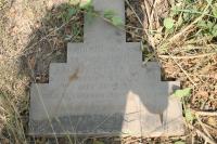 click to view detail