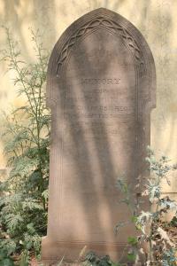 click to view detail