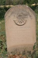 click to view detail