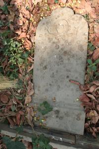 click to view detail