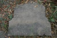 click to view detail