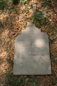 click to view detail