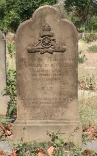 click to view detail