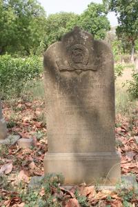 click to view detail