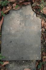 click to view detail