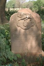 click to view detail