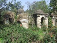 click to view detail