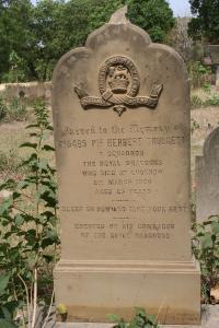 click to view detail