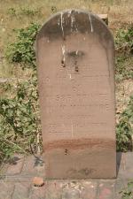 click to view detail