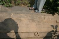 click to view detail