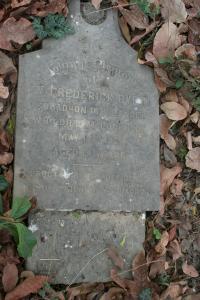 click to view detail