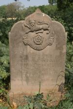 click to view detail