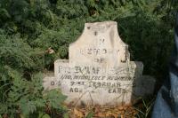 click to view detail