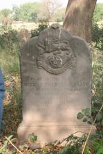 click to view detail