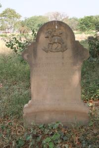 click to view detail