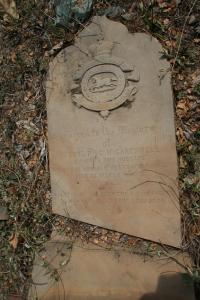 click to view detail