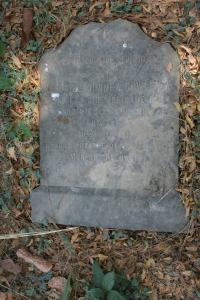 click to view detail