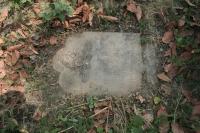 click to view detail