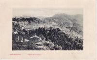 Darjeeling - From Shrubbery