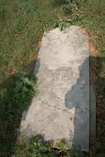 click to view detail