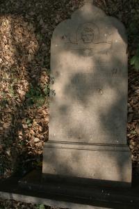 click to view detail