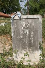 click to view detail