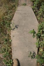 click to view detail